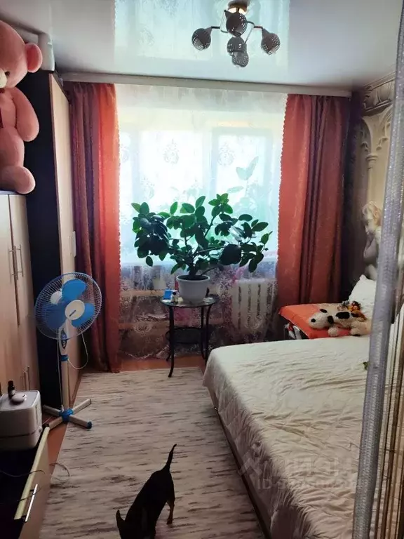 Комната Омская область, Омск просп. Мира, 30Б (17.5 м) - Фото 1