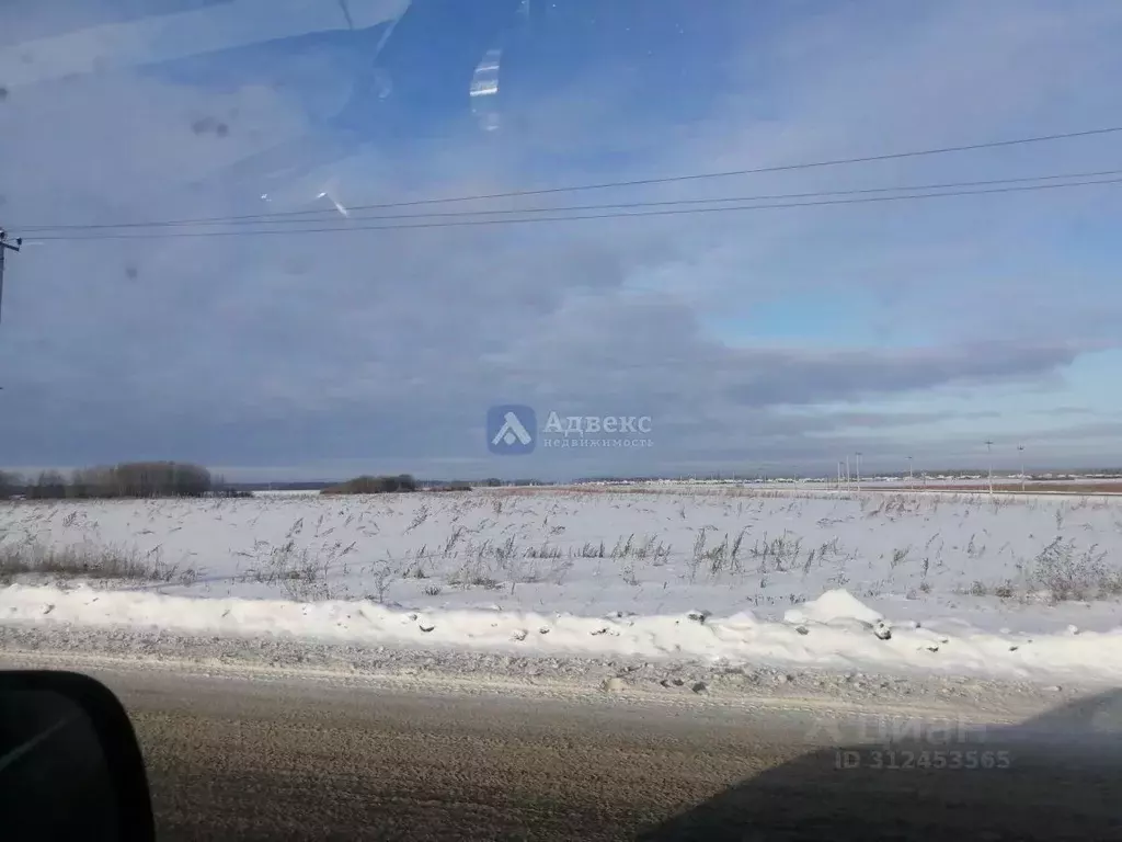 Участок в Тюменская область, Тюменский район, Новокаменский кп ул. ... - Фото 1