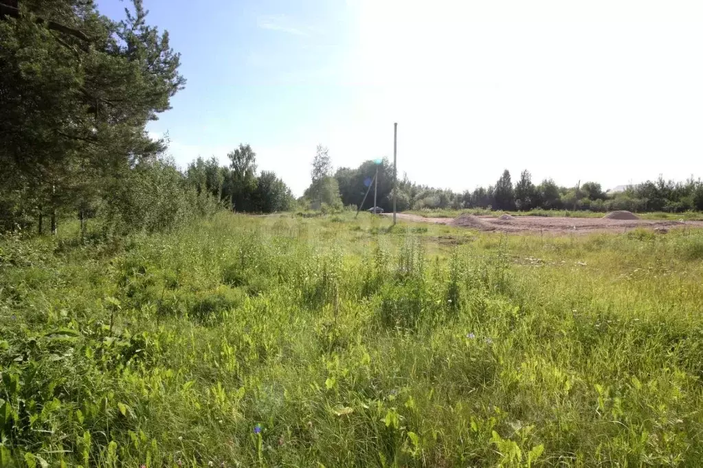 Участок в Вологодская область, Шекснинский муниципальный округ, ... - Фото 1