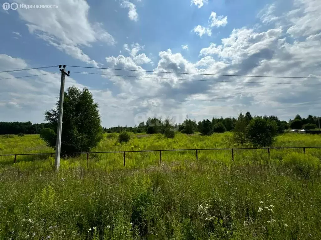 Участок в Нижегородская область, Городецкий муниципальный округ, ... - Фото 0