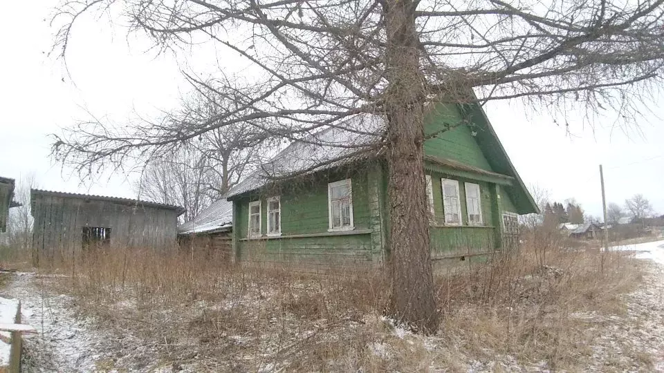 Дом в Новгородская область, Валдайский район, Костковское с/пос, д. ... - Фото 1