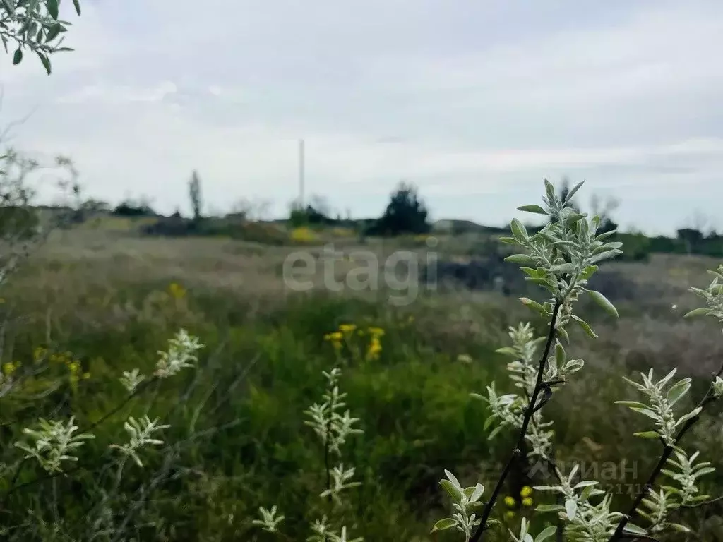 Участок в Крым, Феодосия Здоровье садоводческое товарищество,  (5.98 ... - Фото 1