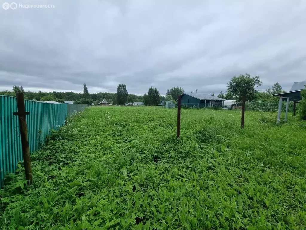 Участок в Вологодская область, Череповецкий муниципальный округ, ... - Фото 1