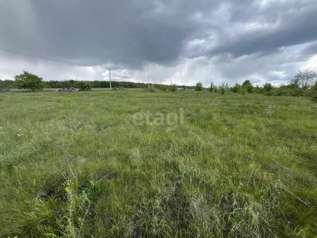 Участок в Воронежская область, Рамонский район, с. Русская Гвоздевка ... - Фото 0