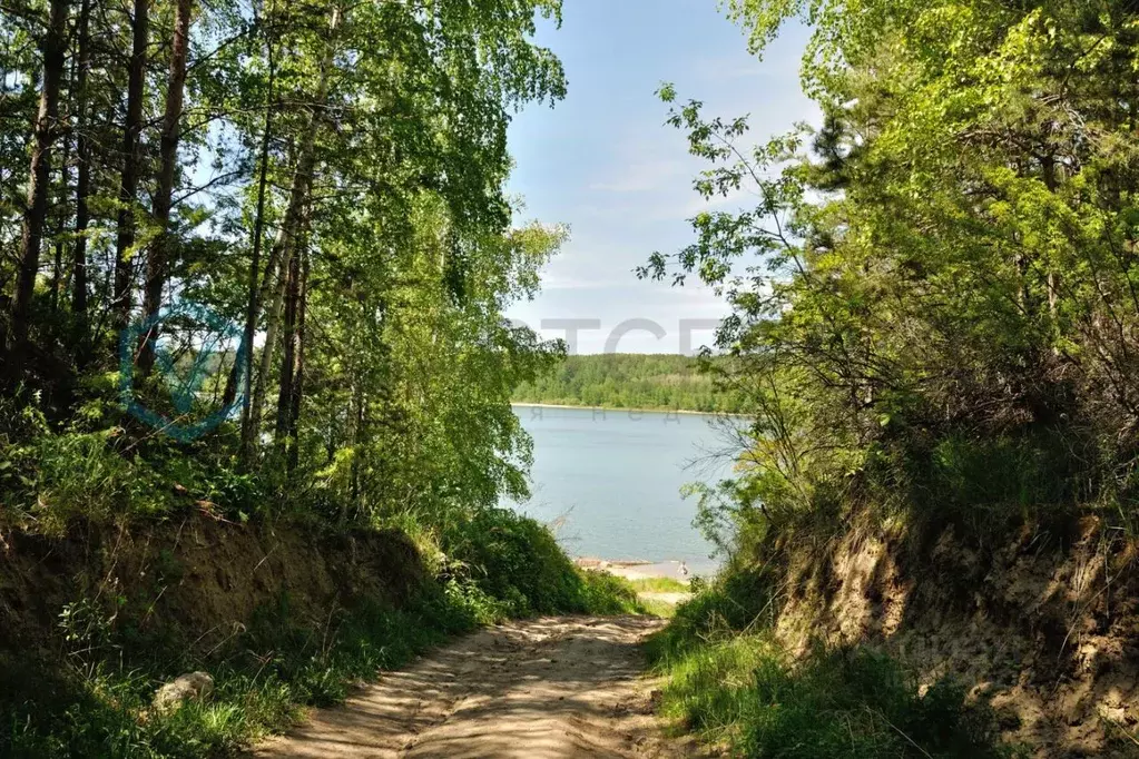 Участок в Омская область, Омский район, Дружинское с/пос, с. Красная ... - Фото 1