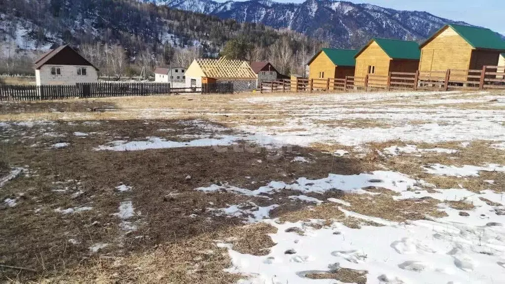 Участок в Алтай, Чемальский район, с. Чемал ул. Сосновая (12.0 сот.) - Фото 0