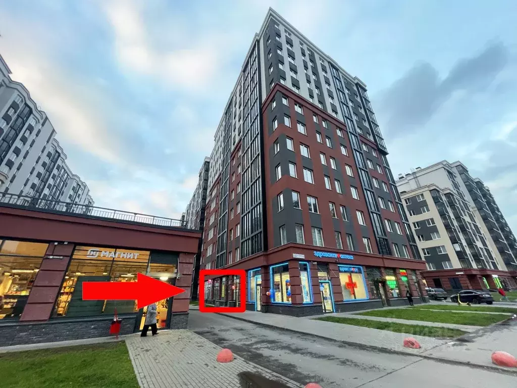 Помещение свободного назначения в Ленинградская область, Мурино ... - Фото 1