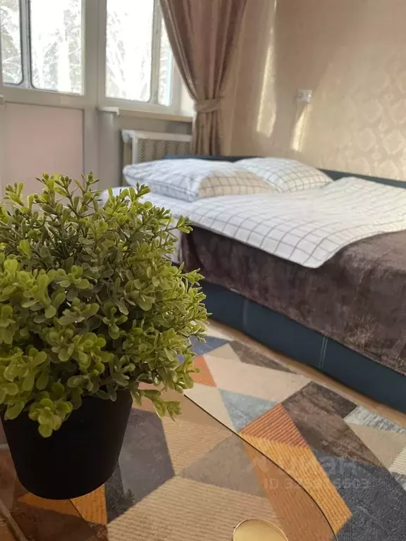 1-к кв. Новосибирская область, Новосибирск Академгородок мкр, ул. ... - Фото 1