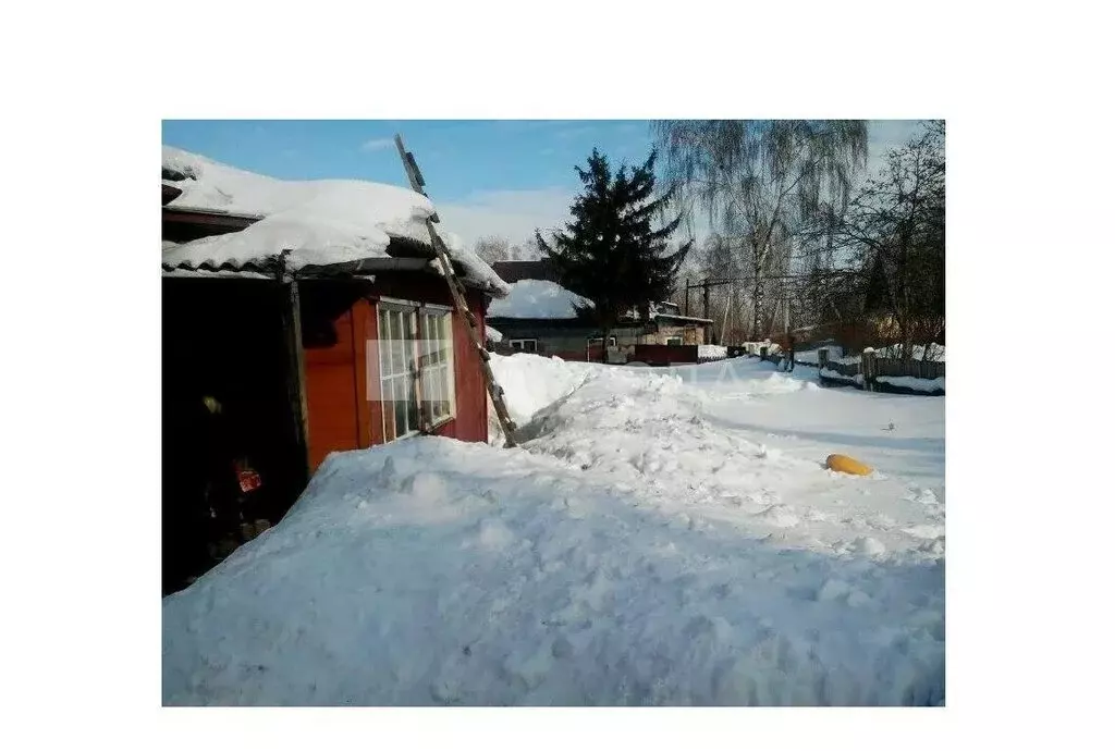 Дом в Новосибирск, 1-я Грушевская улица, 49 (58 м) - Фото 1