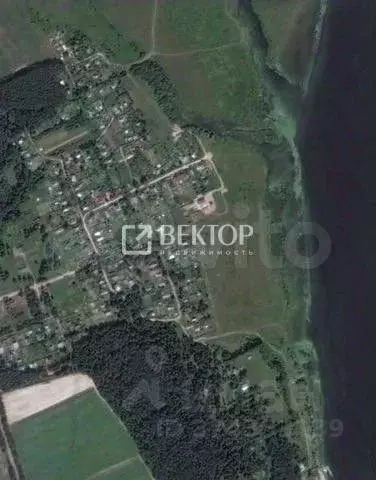 Участок в Костромская область, Костромской район, Чернопенское с/пос, ... - Фото 1