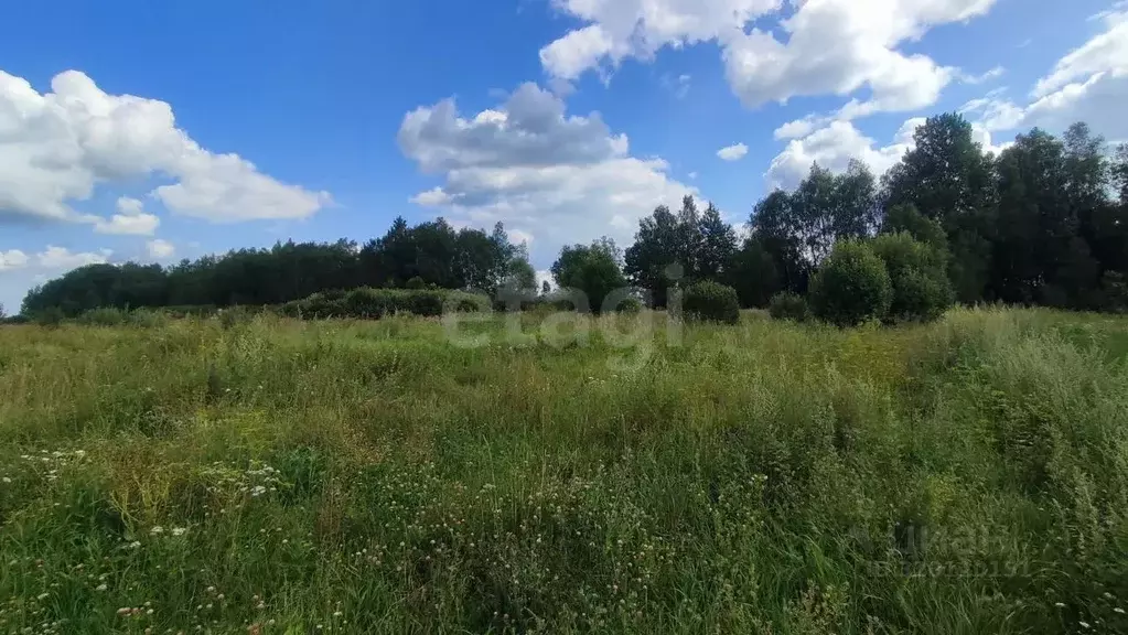 Участок в Калужская область, Тарусский район, Похвиснево с/пос, д. ... - Фото 2