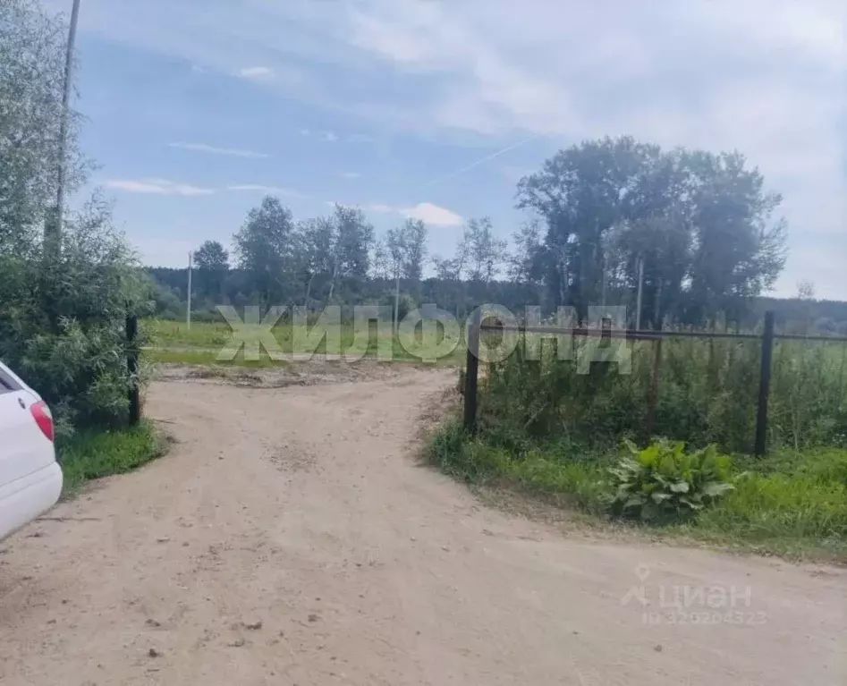 Участок в Новосибирская область, Новосибирский район, Кубовинский ... - Фото 1