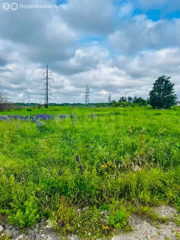 Участок в Луговое, станция Луговое Новое (6.01 м) - Фото 2