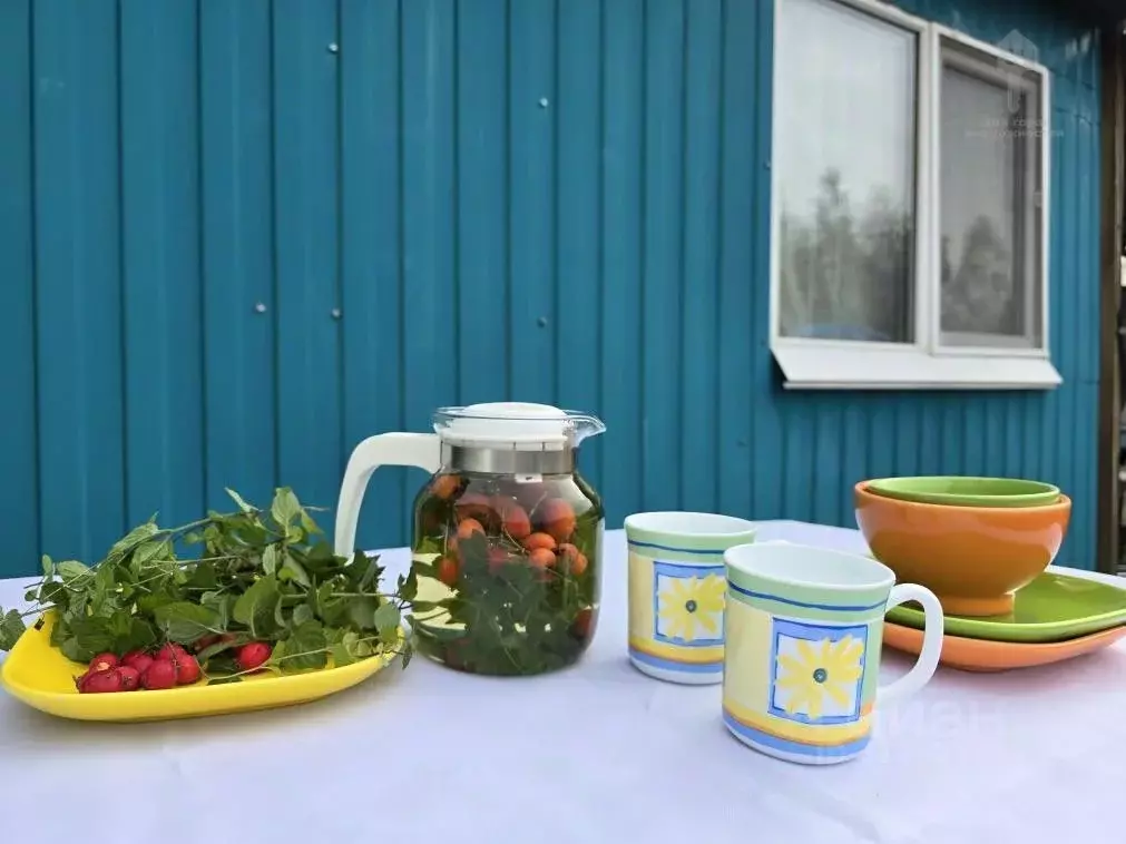 Дом в Омская область, Омский район, Дружинское с/пос, СНТ Березка ТСН ... - Фото 1