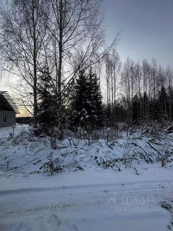Участок в Удмуртия, Завьяловский район, д. Крестовоздвиженское ул. ... - Фото 1
