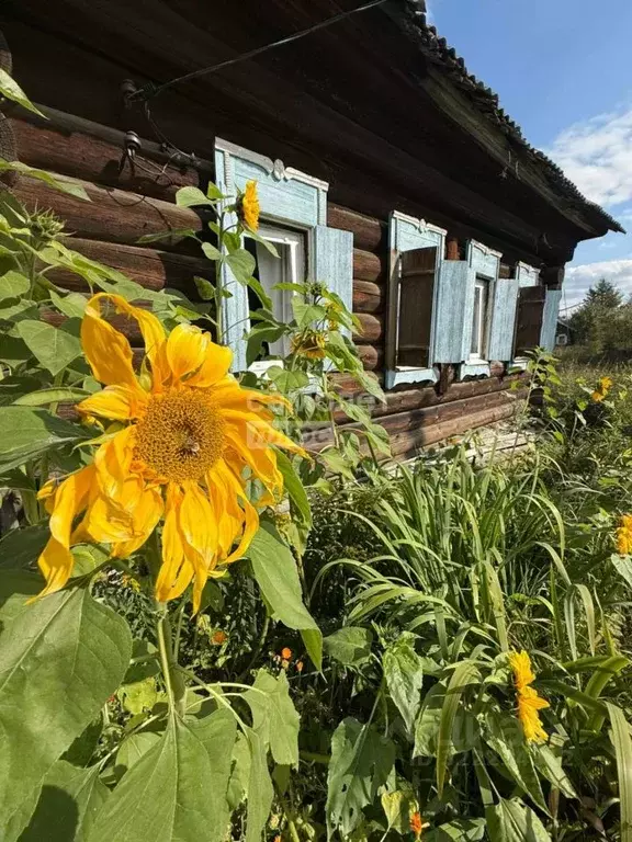 Дом в Свердловская область, Шалинский муниципальный округ, д. ... - Фото 1