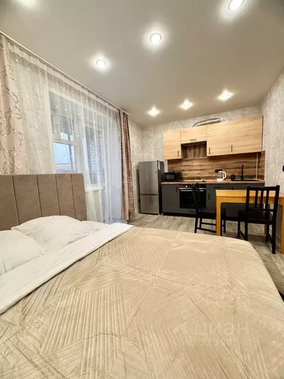 1-к кв. Амурская область, Благовещенский район, с. Чигири ул. ... - Фото 1