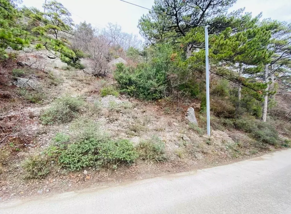 Участок в Крым, Ялта муниципальный округ, Восход пгт ул. Наташинская, ... - Фото 1