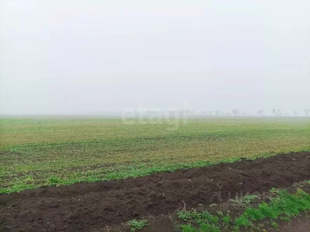 Участок в Крым, Ленинский район, с. Семисотка ул. Восточная (1064.2 ... - Фото 1