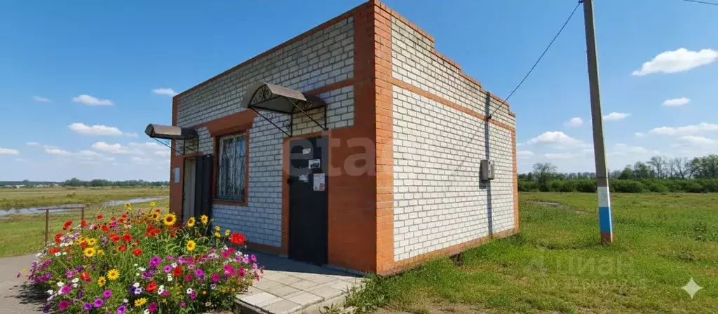 Помещение свободного назначения в Белгородская область, Новооскольский ... - Фото 1