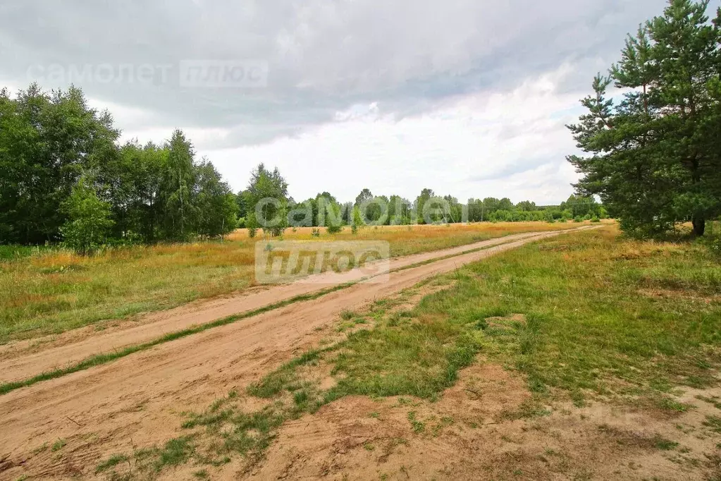 Участок в Калининградская область, Ладушкин Молодежная ул. (8.88 сот.) - Фото 0