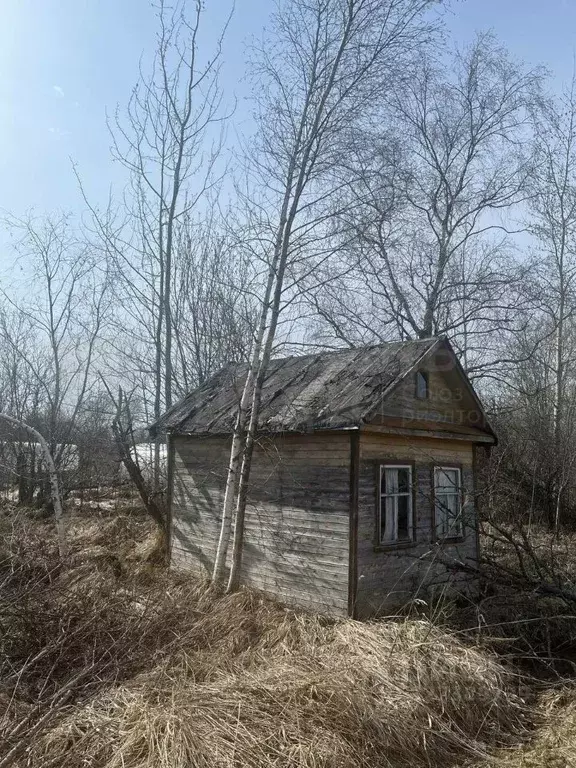 Участок в Новгородская область, Новгородский район, Панковское ... - Фото 2