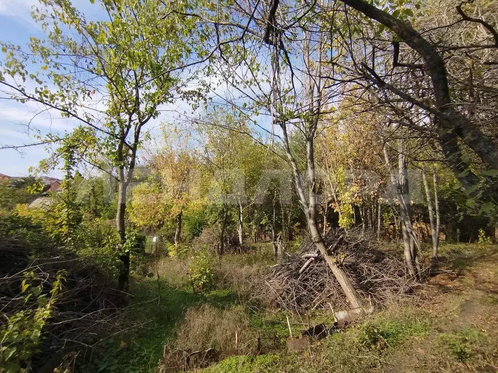 Участок в Ростовская область, Ростов-на-Дону Садовод-Любитель садовое ... - Фото 2