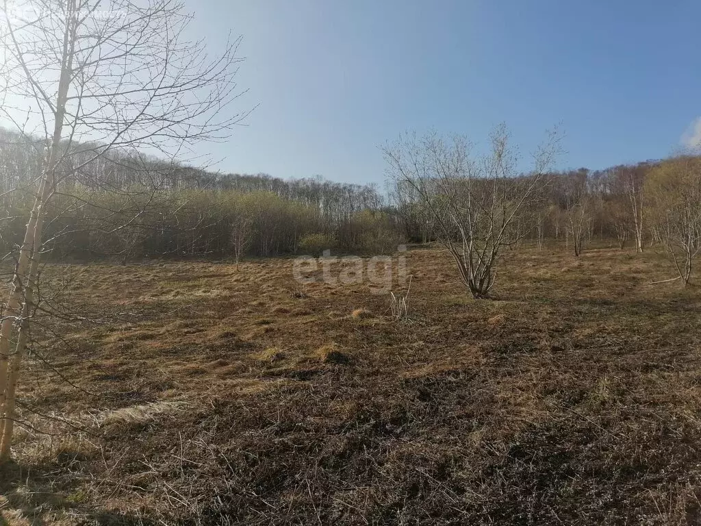 Участок в Петропавловск-Камчатский, посёлок Дальний (10 м) - Фото 0
