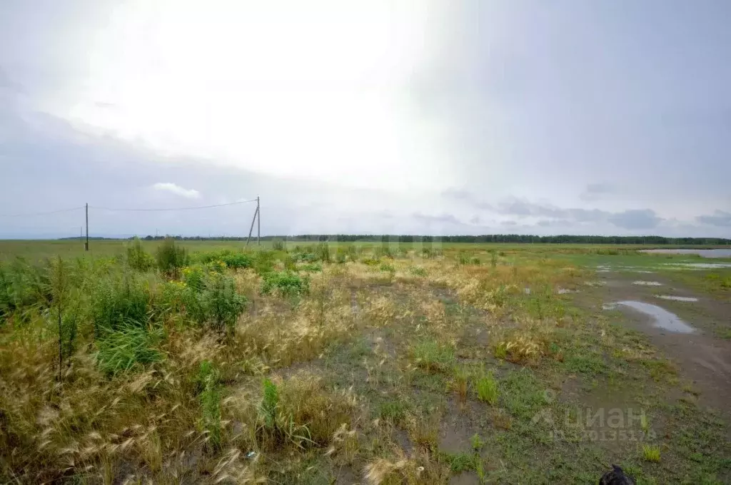 Участок в Сахалинская область, Анивский городской округ, с. Песчанское ... - Фото 1
