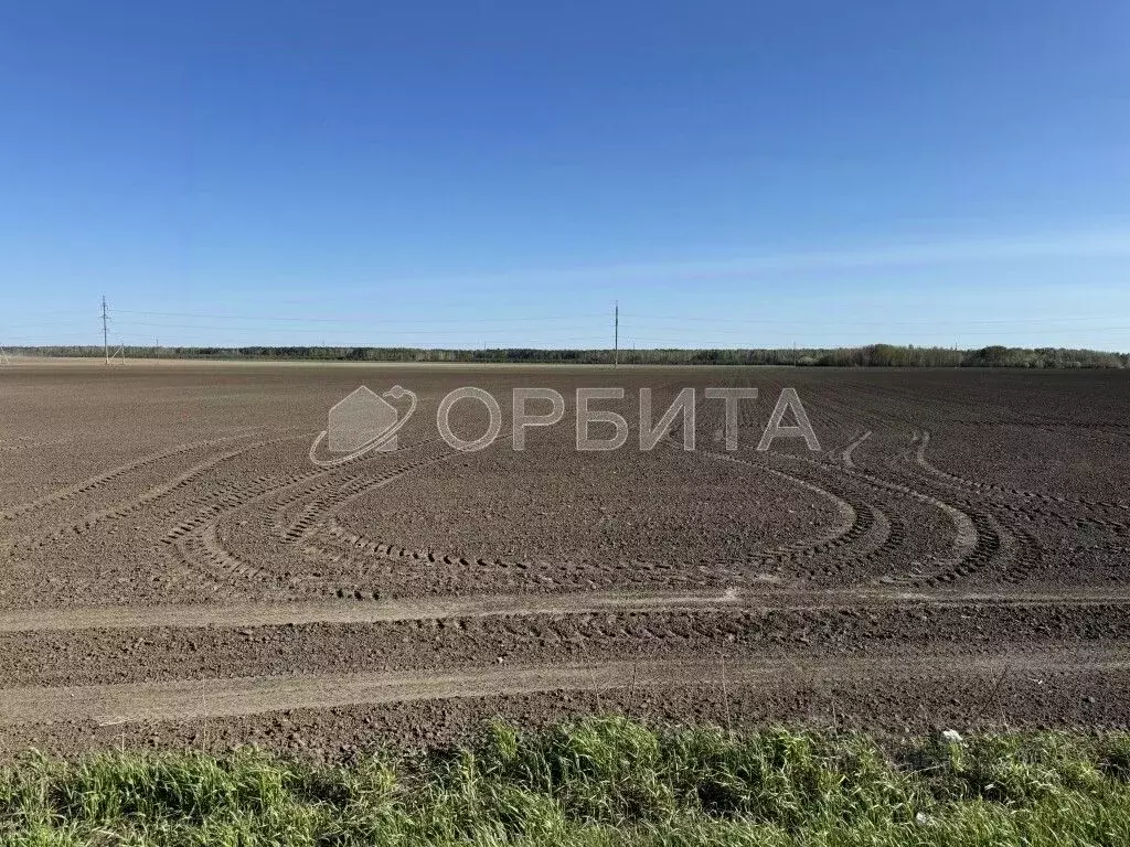 Участок в Тюменская область, Тюменский район, д. Субботина  (320.0 ... - Фото 0