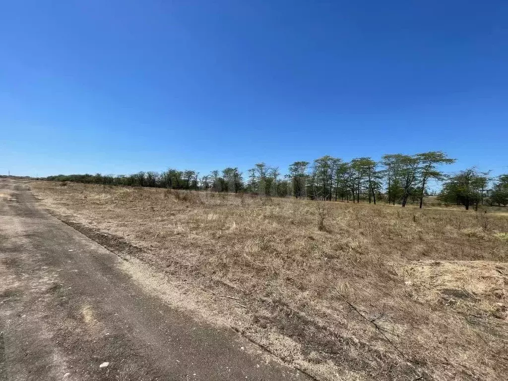 Участок в Крым, Симферопольский район, с. Мирное  (18.1 сот.) - Фото 2