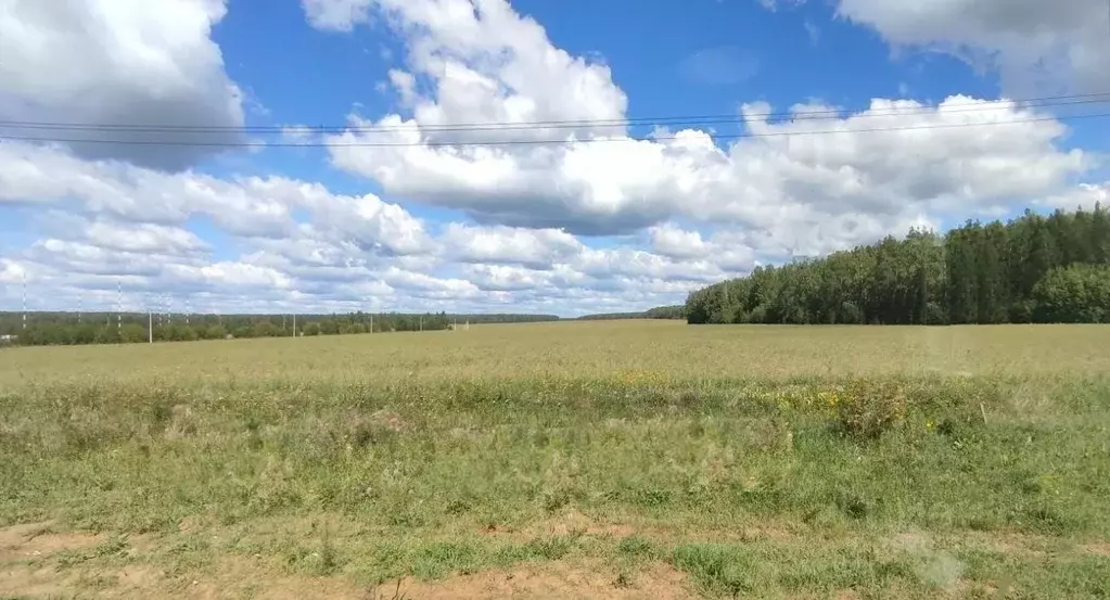 Дом в Свердловская область, Белоярский городской округ, с. Косулино ... - Фото 0