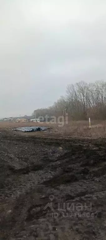 Участок в Белгородская область, Белгородский район, с. Стрелецкое 68 ... - Фото 0