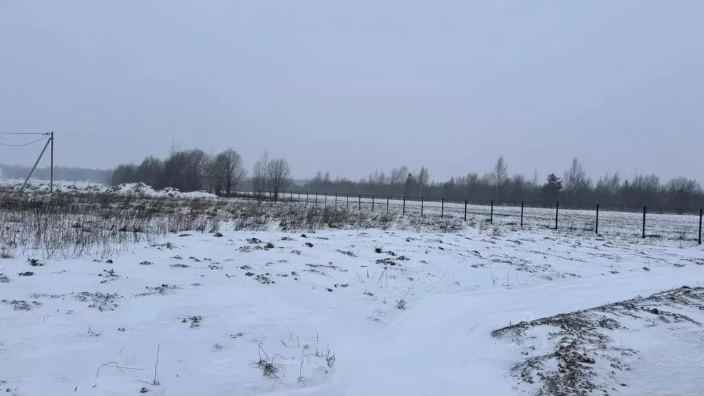 Участок в Ленинградская область, Кировский район, Назиевское городское ... - Фото 0