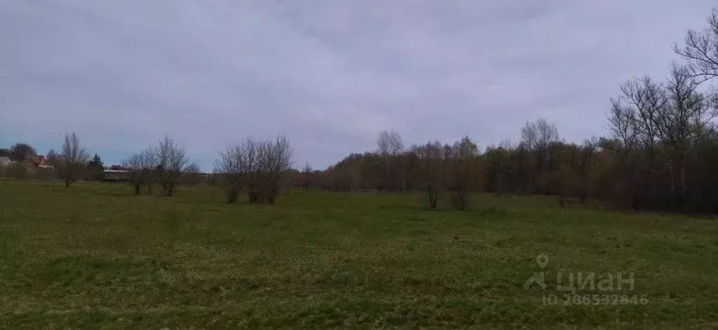 Участок в Белгородская область, Старооскольский городской округ, ... - Фото 1