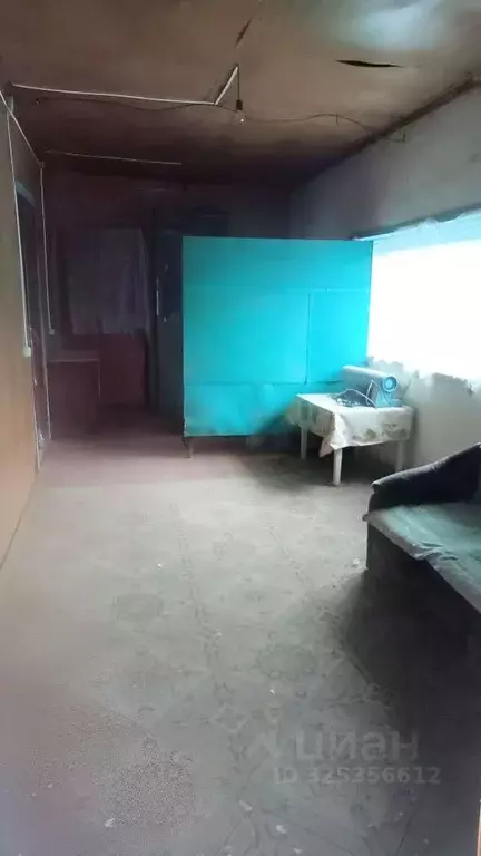 Дом в Омская область, Полтавский район, с. Новоильиновка  (66 м) - Фото 2