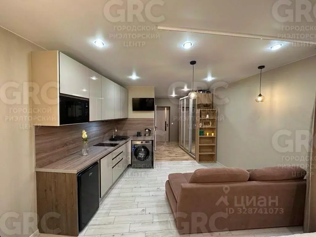 1-к кв. Краснодарский край, Сочи ул. Ленина, 219/35 (29.0 м) - Фото 1