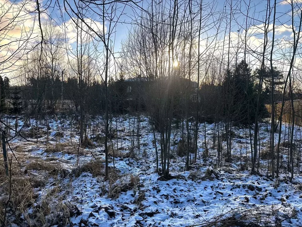 Участок в Московская область, Истра муниципальный округ, д. Дубровское ... - Фото 2