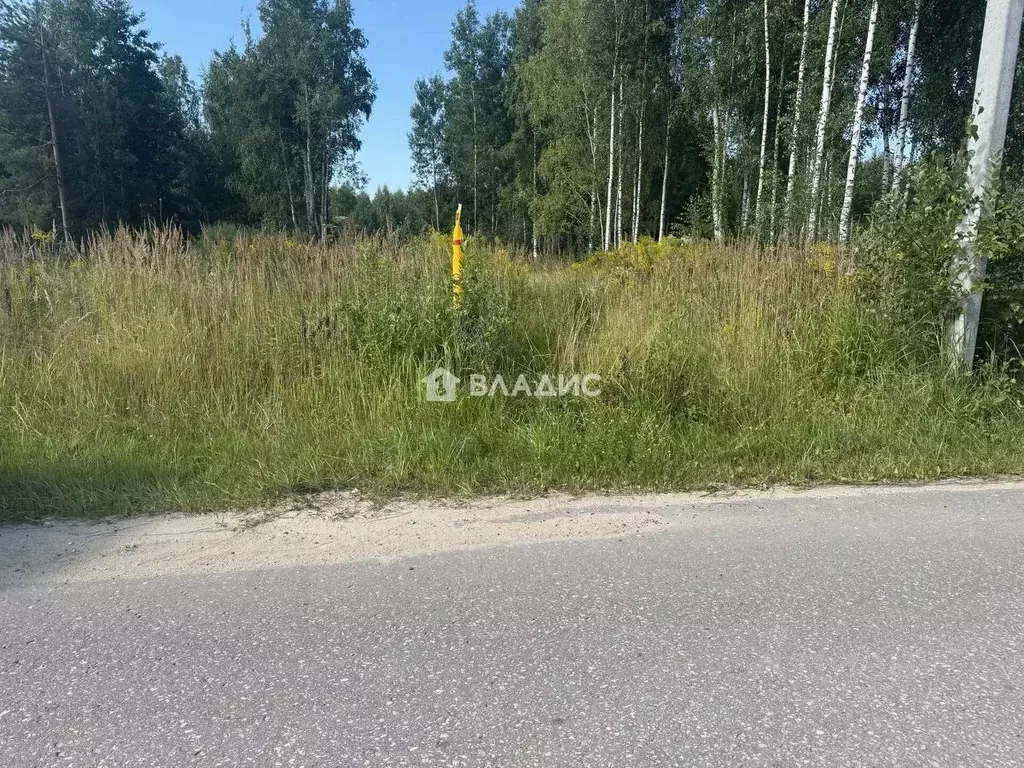 Участок в Владимирская область, Владимир ул. Журавлиха (10.0 сот.) - Фото 2