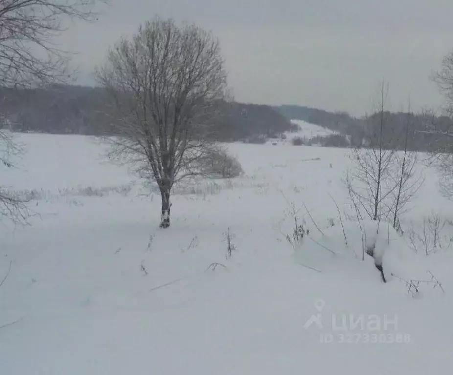 Участок в Московская область, Дмитровский муниципальный округ, д. ... - Фото 1