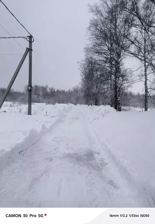 Участок в Нижегородская область, с. Безводное  (14.0 сот.) - Фото 1