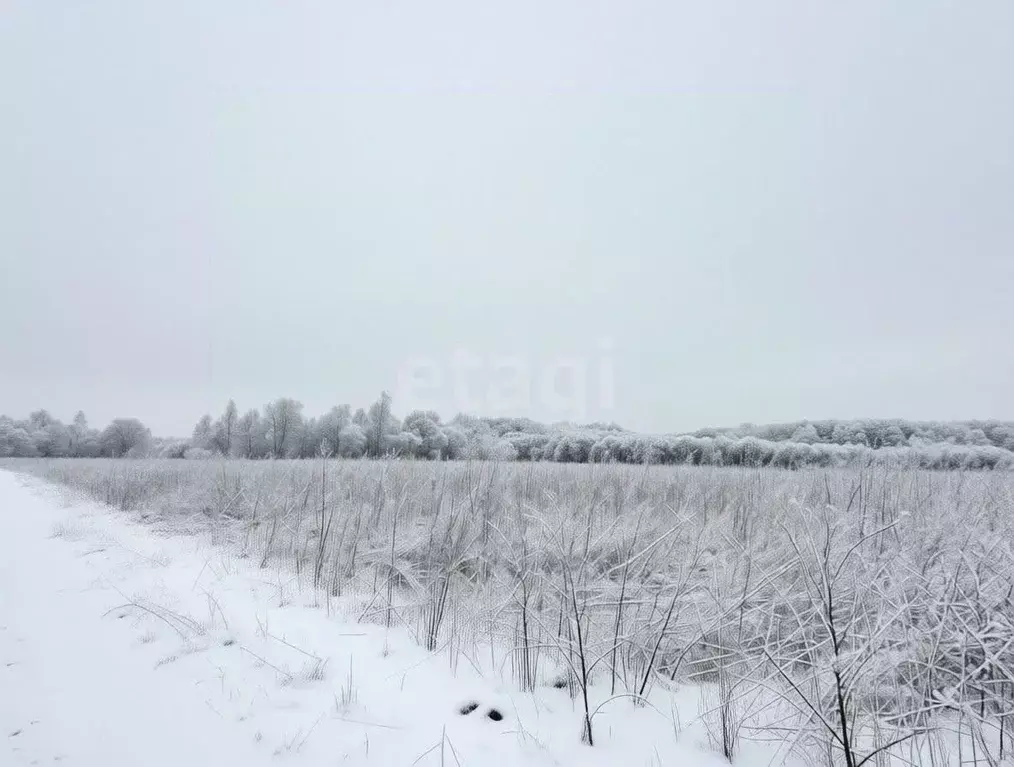 Участок в Тульская область, Тула городской округ, д. Малевка ул. ... - Фото 1