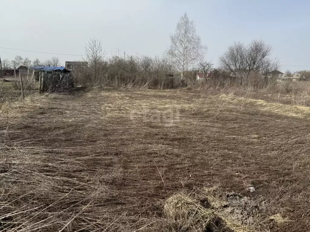 Участок в Брянская область, Брянск Надежда садоводческое товарищество, ... - Фото 1