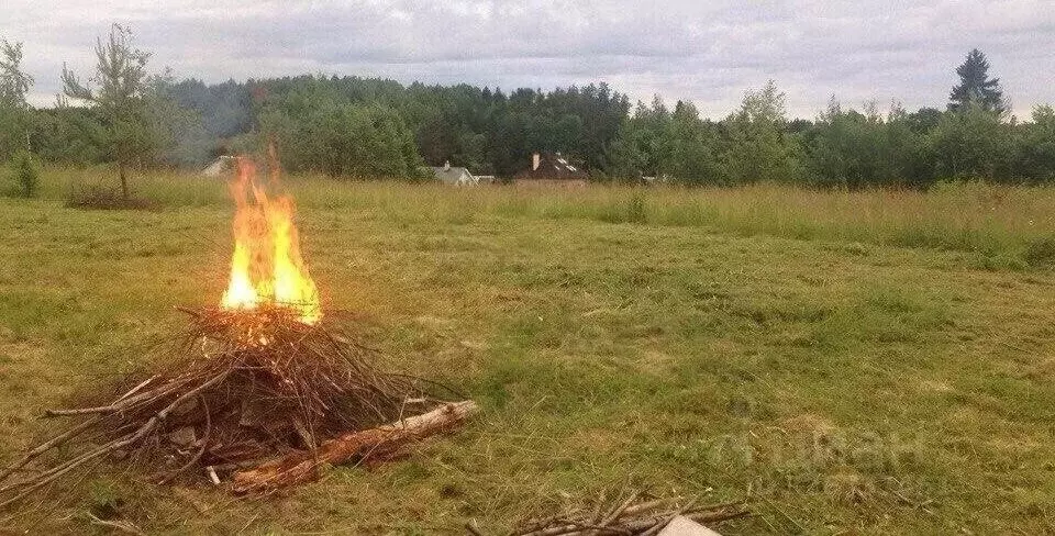 Участок в Ленинградская область, Лужский район, Толмачевское городское ... - Фото 1