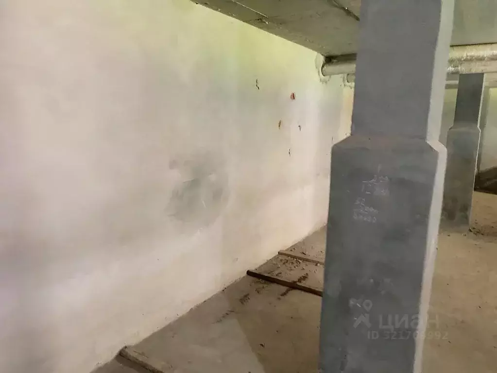 Помещение свободного назначения в Новосибирская область, Новосибирский ... - Фото 1