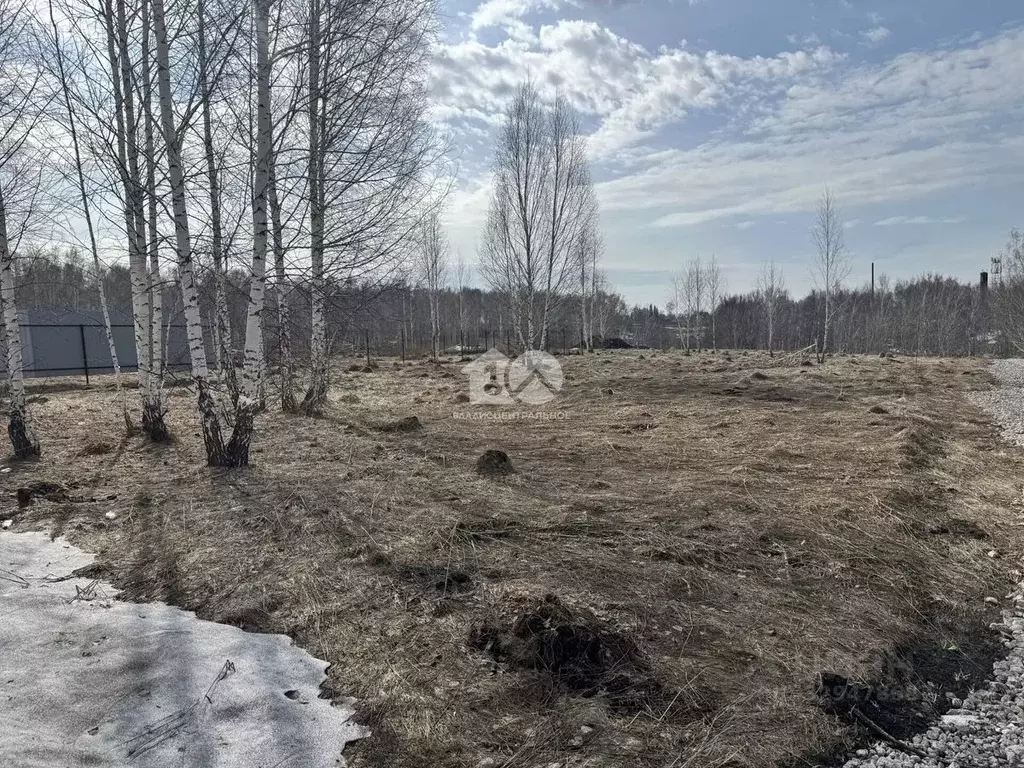 Участок в Новосибирская область, Новосибирский район, Станционный ... - Фото 1