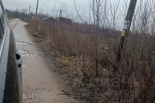 Участок в Новгородская область, Новгородский район, Ермолинское с/пос, ... - Фото 1