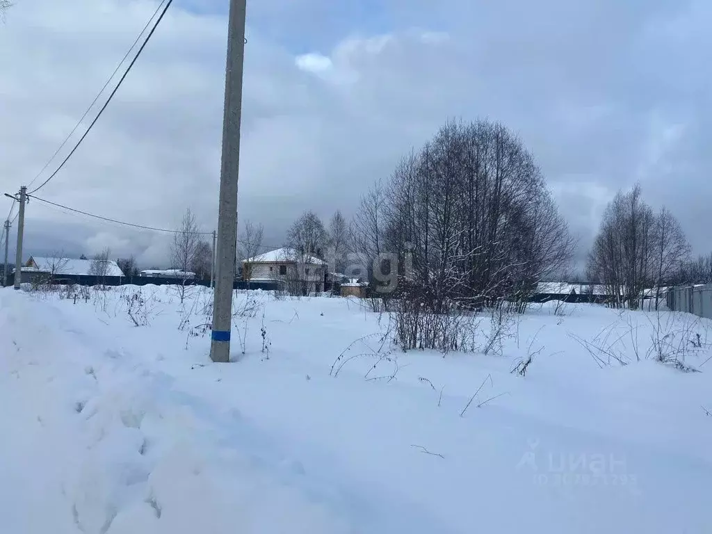 Участок в Московская область, Дмитровский городской округ, ТЭС СНТ 29 ... - Фото 0