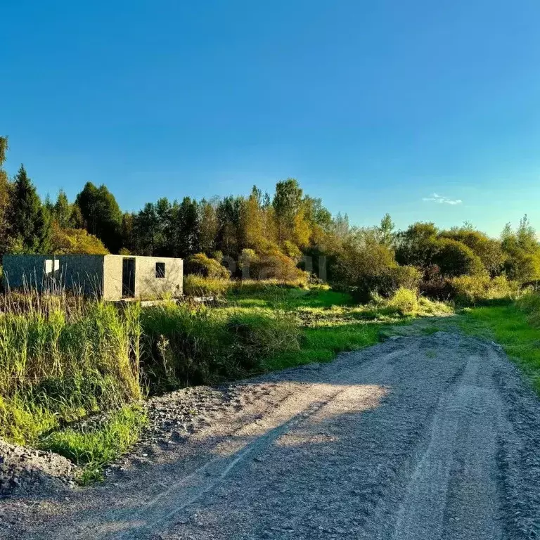 Участок в Ленинградская область, Приозерский район, Красноозерное ... - Фото 1