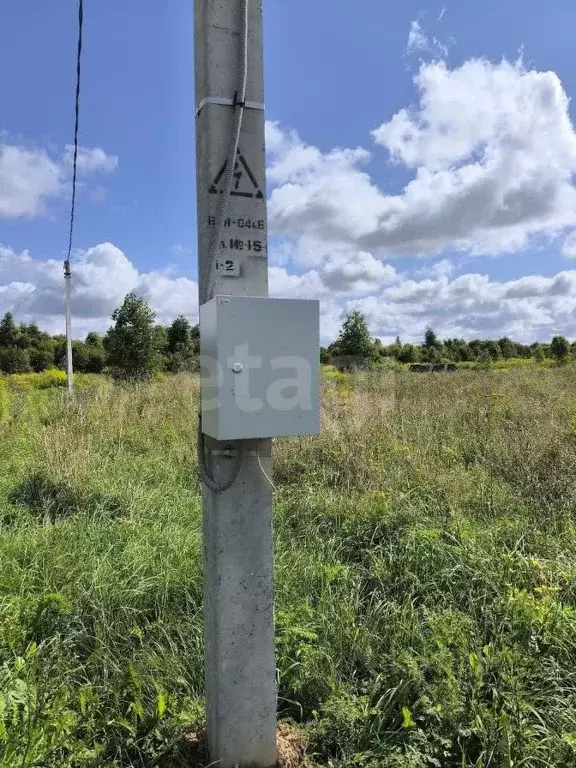 Участок в Псковская область, Псковский район, Завеличенская волость, ... - Фото 1